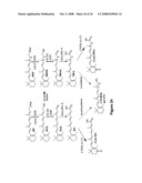 All-Trans-Retinol: All-Trans-13,14-Dihydroretinol Saturase and Methods of Its Use diagram and image