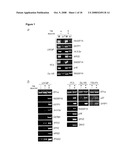 Silencing of Tumor-Suppressive Genes by Cpg-Methylation in Prostate Cancer diagram and image