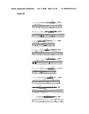 Silencing of Tumor-Suppressive Genes by Cpg-Methylation in Prostate Cancer diagram and image