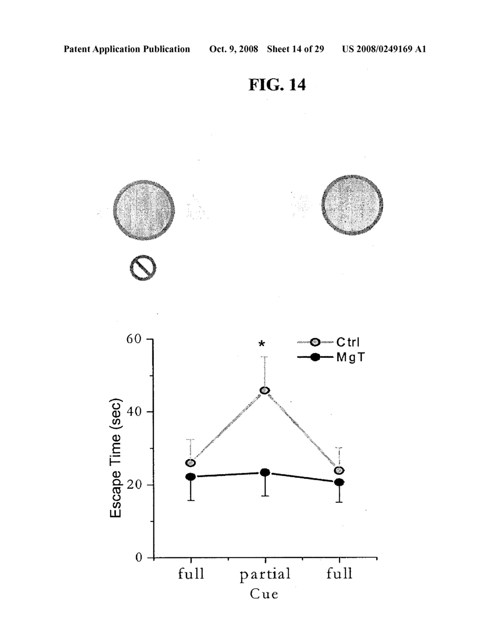 MAGNESIUM COMPOSITIONS AND USES THEREOF FOR METABOLIC DISORDERS - diagram, schematic, and image 15