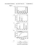 Methods for Determining the Effect of a Treatment on the Cross-Beta Structure Content of a Protein; Selection of Treatments and Uses Thereof diagram and image