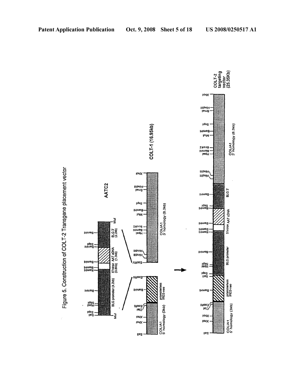 Methods - diagram, schematic, and image 06