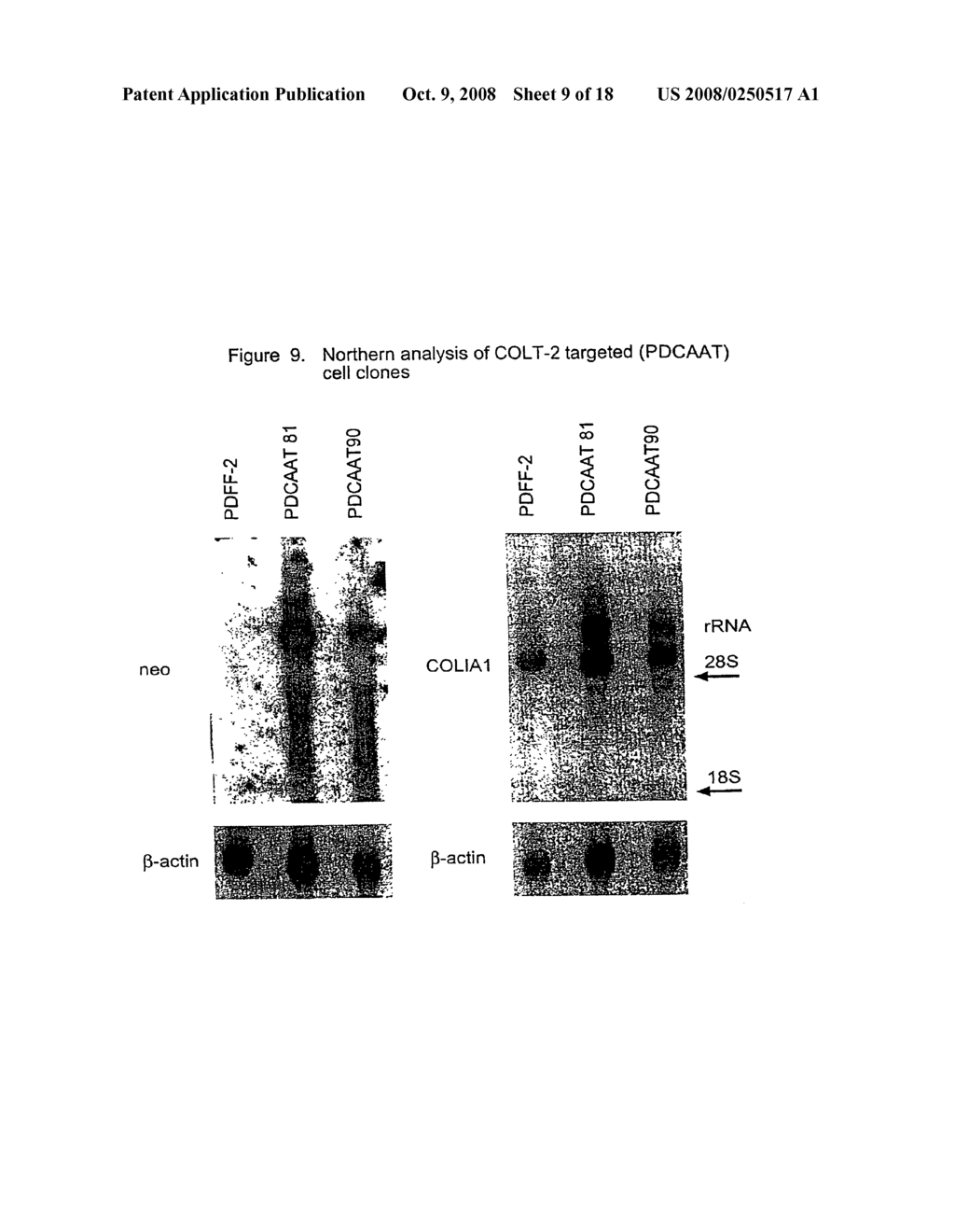 Methods - diagram, schematic, and image 10