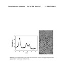 Controlled synthesis of nanoparticles using continuous liquid-flow aerosol method diagram and image