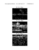 Membrane Element diagram and image