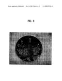 System for Electrical Impedance Tomography and Method Thereof diagram and image