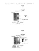 Three-Dimensional/Two-Dimensional Convertible Display Device diagram and image