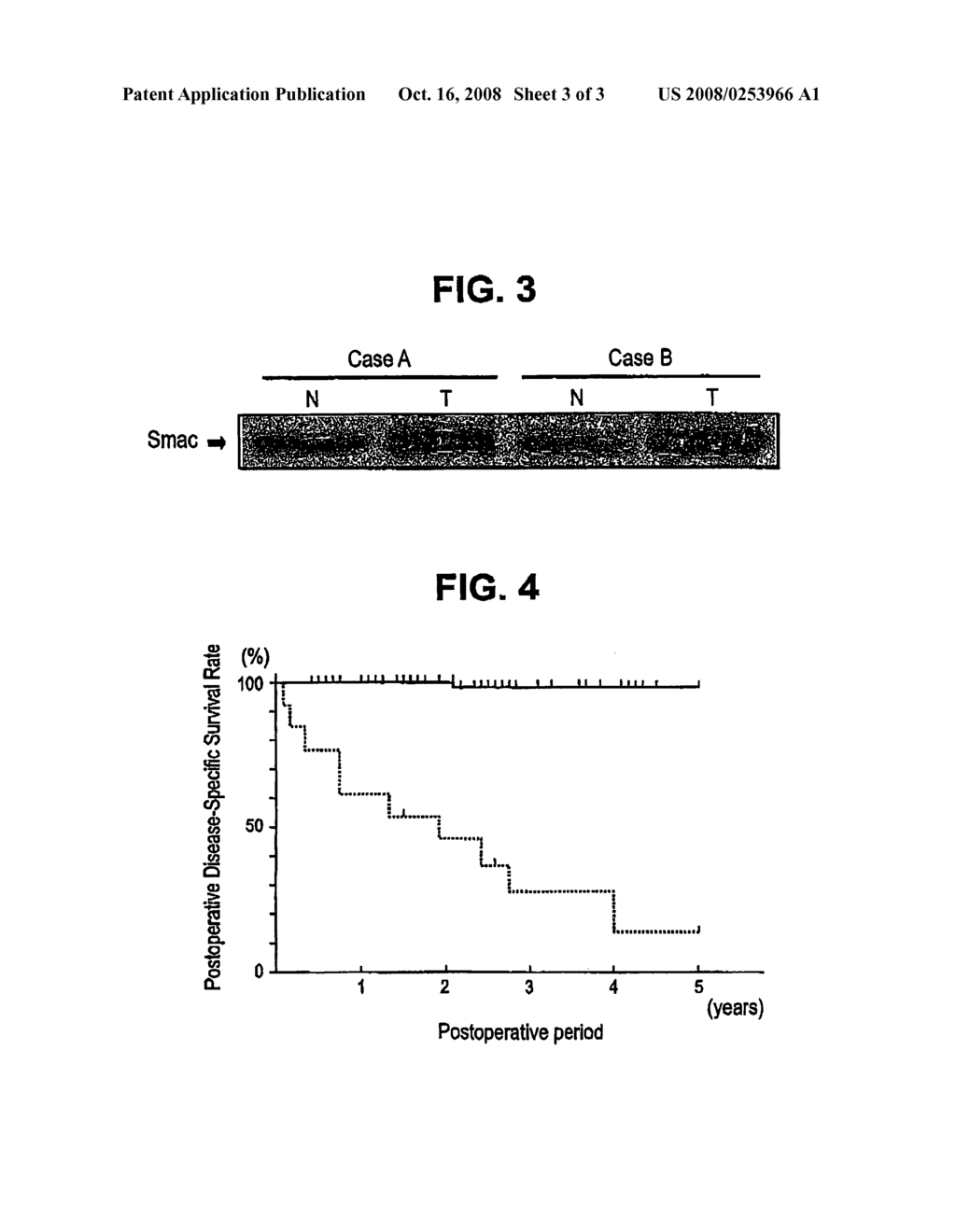 Diagnostic, Prognostic, and Therapeutic Factor Smac/Diablo in Human Cancer - diagram, schematic, and image 04