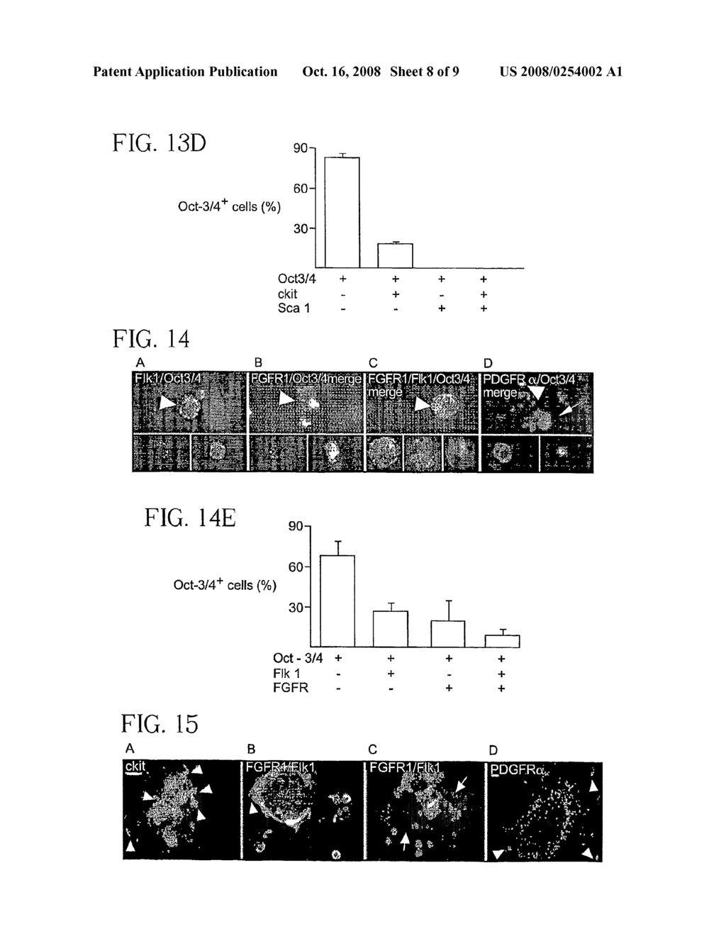 Bone Marrow Derived Oct3/4+ Stem Cells - diagram, schematic, and image 09