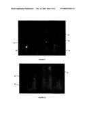 Fungal Material Stabilisation diagram and image