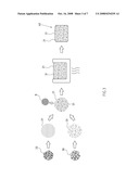 GEL FOAM ELASTOMER AND METHOD OF MANUFACTURING SAID GEL FOAM ELASTOMER diagram and image