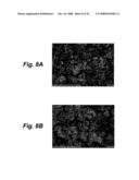 CATHODE ACTIVE MATERIAL, CATHODE, NONAQUEOUS ELECTROLYTE BATTERY, AND METHOD FOR MANUFACTURING CATHODE diagram and image