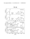 CATHODE ACTIVE MATERIAL, CATHODE, NONAQUEOUS ELECTROLYTE BATTERY, AND METHOD FOR MANUFACTURING CATHODE diagram and image