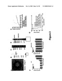 Norovirus detection, methods and compositions therefor diagram and image