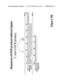 Norovirus detection, methods and compositions therefor diagram and image