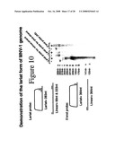 Norovirus detection, methods and compositions therefor diagram and image