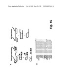 Norovirus detection, methods and compositions therefor diagram and image