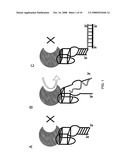 Method of Detecting Target Molecule by Using Aptamer diagram and image