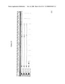 Method and Nucleic Acids for the Improved Treatment of Breast Cell Proliferative Disorders diagram and image