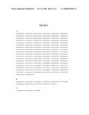 Polynucleotides For the Detection of Escherichia Coli 0157 diagram and image