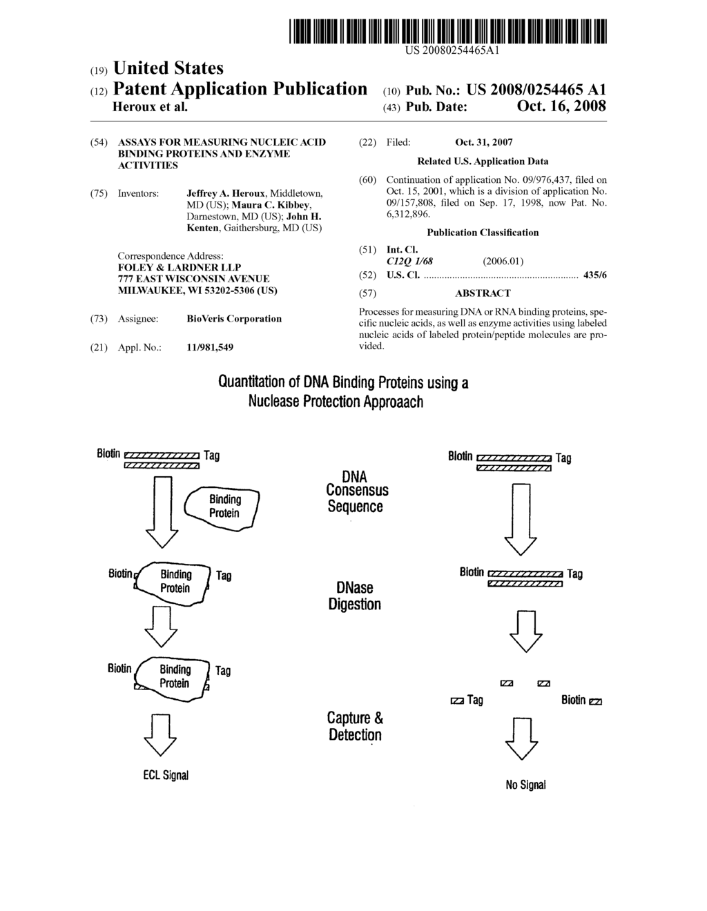 Assays for measuring nucleic acid binding proteins and enzyme activities - diagram, schematic, and image 01