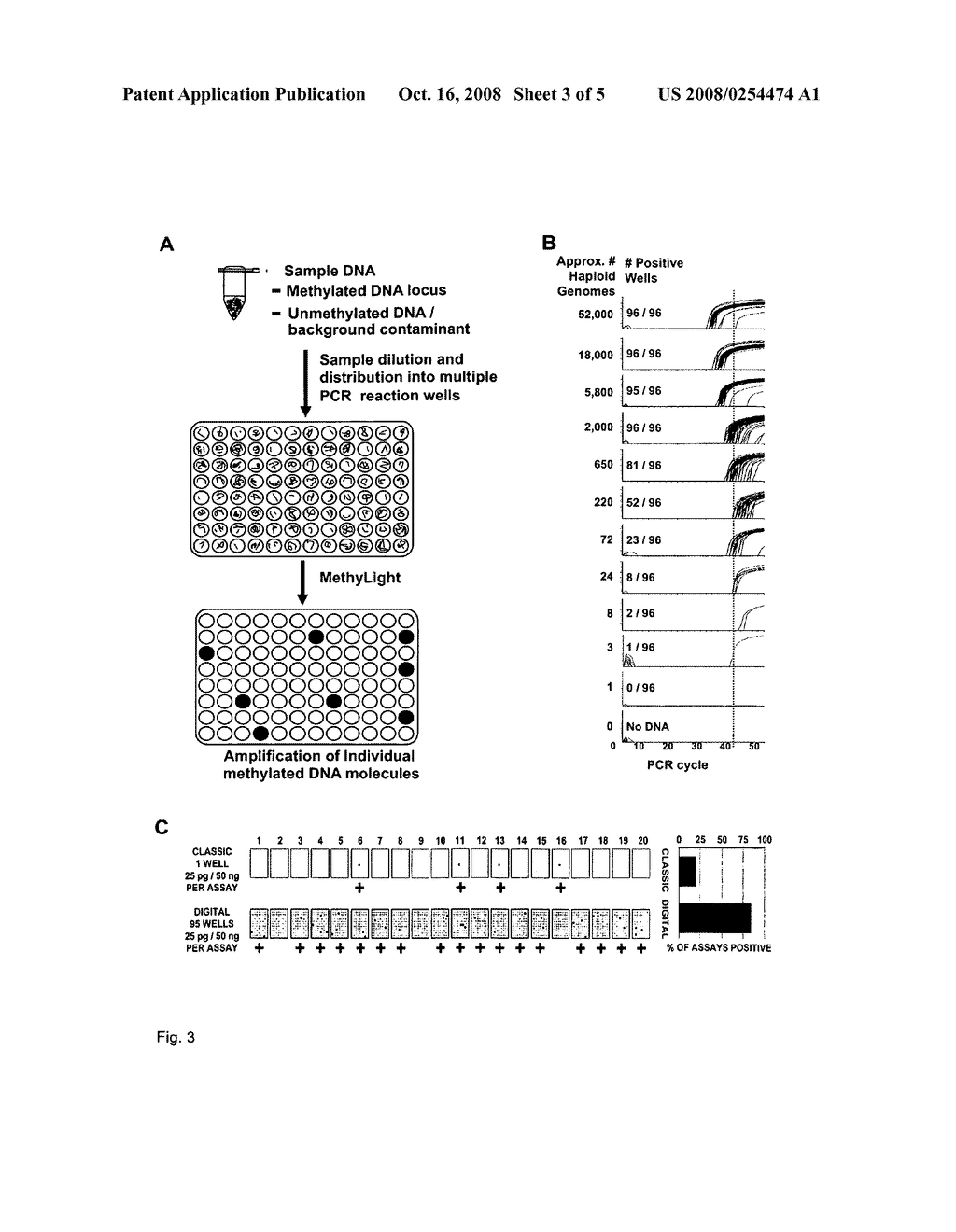 DNA METHYLATION ANALYSIS BY DIGITAL BISULFITE GENOMIC SEQUENCING AND DIGITAL METHYLIGHT - diagram, schematic, and image 04