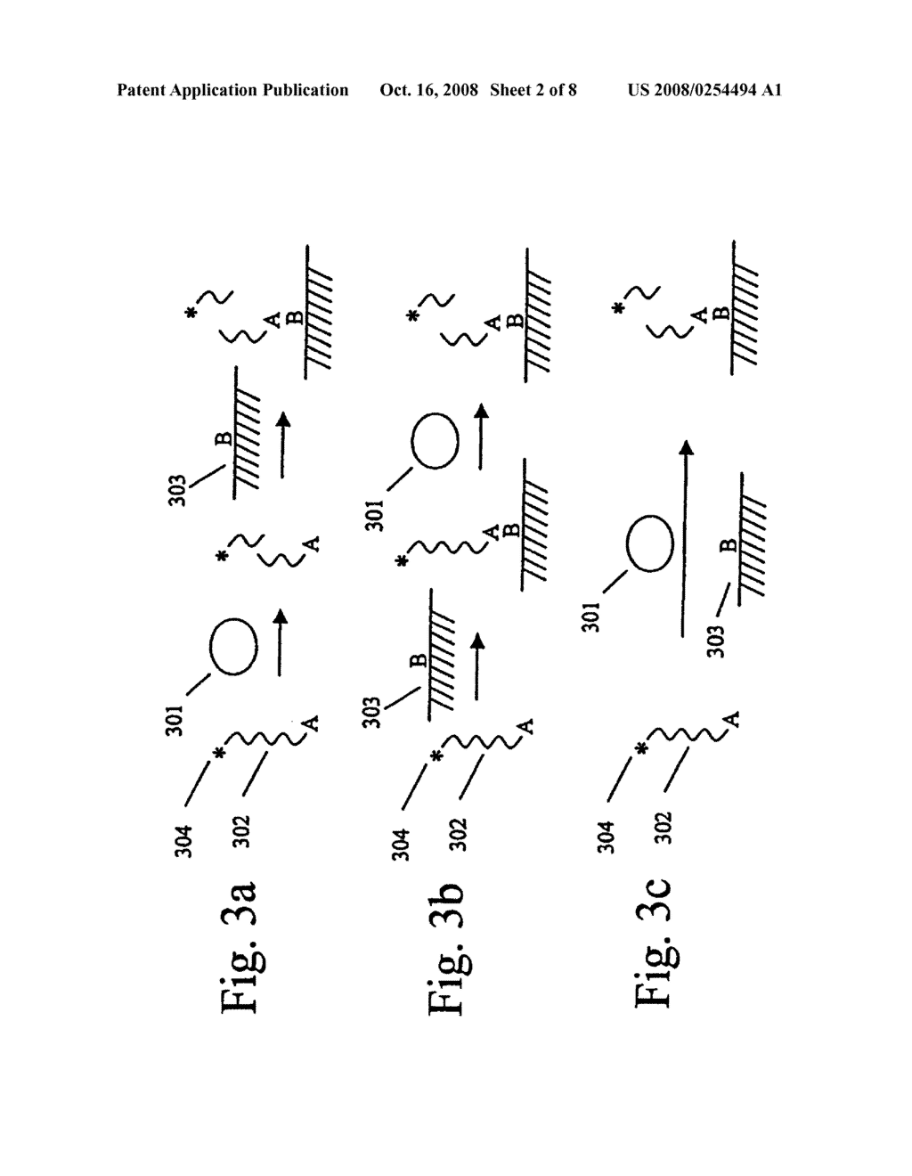 Assays for measuring nucleic acid binding proteins and enzyme activities - diagram, schematic, and image 03