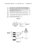 NUCLEIC ACID ENCODING PROTEINS INVOLVED IN PROTEIN DEGRADATION, PRODUCTS AND METHODS RELATED THERETO diagram and image