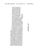 NUCLEIC ACID ENCODING PROTEINS INVOLVED IN PROTEIN DEGRADATION, PRODUCTS AND METHODS RELATED THERETO diagram and image