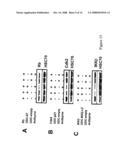 NUCLEIC ACID ENCODING PROTEINS INVOLVED IN PROTEIN DEGRADATION, PRODUCTS AND METHODS RELATED THERETO diagram and image