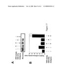 NUCLEIC ACID ENCODING PROTEINS INVOLVED IN PROTEIN DEGRADATION, PRODUCTS AND METHODS RELATED THERETO diagram and image