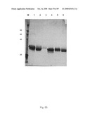 Hybrid immunoglobulins with moving parts diagram and image