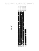 DELTA-9 ELONGASES AND THEIR USE IN MAKING POLYUNSATURATED FATTY ACIDS diagram and image