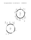 DELTA-9 ELONGASES AND THEIR USE IN MAKING POLYUNSATURATED FATTY ACIDS diagram and image