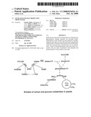 Increased Ethanol Production from Xylose diagram and image