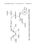 Increased Ethanol Production from Xylose diagram and image