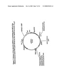 Increased Ethanol Production from Xylose diagram and image