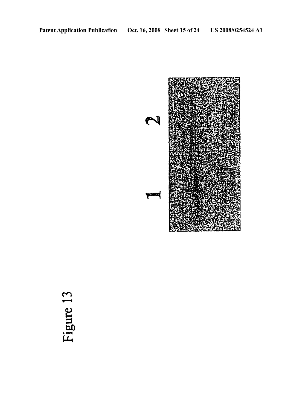 Increased Ethanol Production from Xylose - diagram, schematic, and image 16