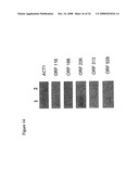 Increased Ethanol Production from Xylose diagram and image