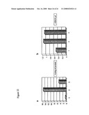 Increased Ethanol Production from Xylose diagram and image