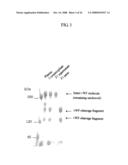 VON WILLEBRAND FACTOR (vWF) - CLEAVING PROTEASE diagram and image