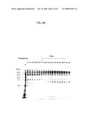 VON WILLEBRAND FACTOR (vWF) - CLEAVING PROTEASE diagram and image