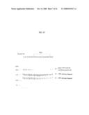 VON WILLEBRAND FACTOR (vWF) - CLEAVING PROTEASE diagram and image