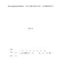 VON WILLEBRAND FACTOR (vWF) - CLEAVING PROTEASE diagram and image