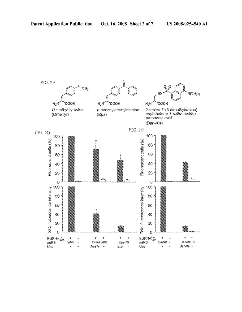 METHODS OF GENETICALLY ENCODING UNNATURAL AMINO ACIDS IN EUKARYOTIC CELLS USING ORTHOGONAL tRNA/SYNTHETASE PAIRS - diagram, schematic, and image 03