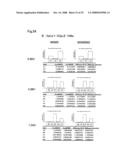 Method of Analyzing Structure of Sugar Chain diagram and image