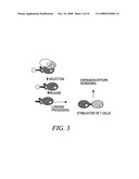 METHODS OF REVERSIBLY BINDING A BIOTIN COMPOUND TO A SUPPORT diagram and image