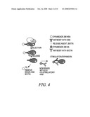 METHODS OF REVERSIBLY BINDING A BIOTIN COMPOUND TO A SUPPORT diagram and image