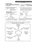 COMPOUNDS FOR SUSTAINED RELEASE OF ORALLY DELIVERED DRUGS diagram and image