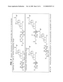 COMPOUNDS FOR SUSTAINED RELEASE OF ORALLY DELIVERED DRUGS diagram and image